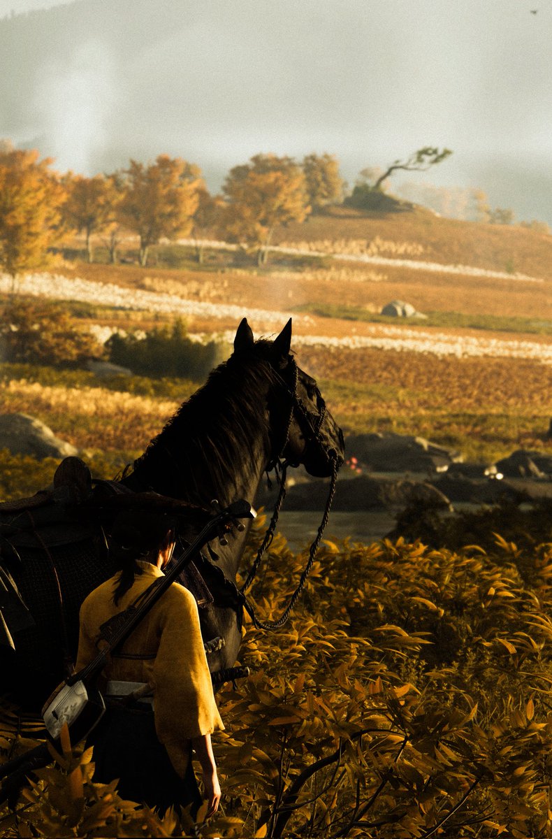 Atsu &amp; Homura 

#GhostofYotei #VirtualPhotography #VPRT