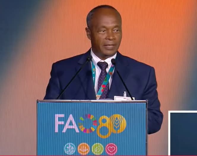 Ethiopian_ATI's tweet photo. We’re beyond proud! 🇪🇹✨
@Ethiopian_ATI  has won the FAO Achievement Award 2025 🎉
Honored to be recognized by the @FAO for driving innovation &amp; transformation in Ethiopia’s agriculture! 🌱💪
#FAOAwards #Ethiopia #AgInnovation #SustainableFarming https://t.co/Ui4p1KtjjX