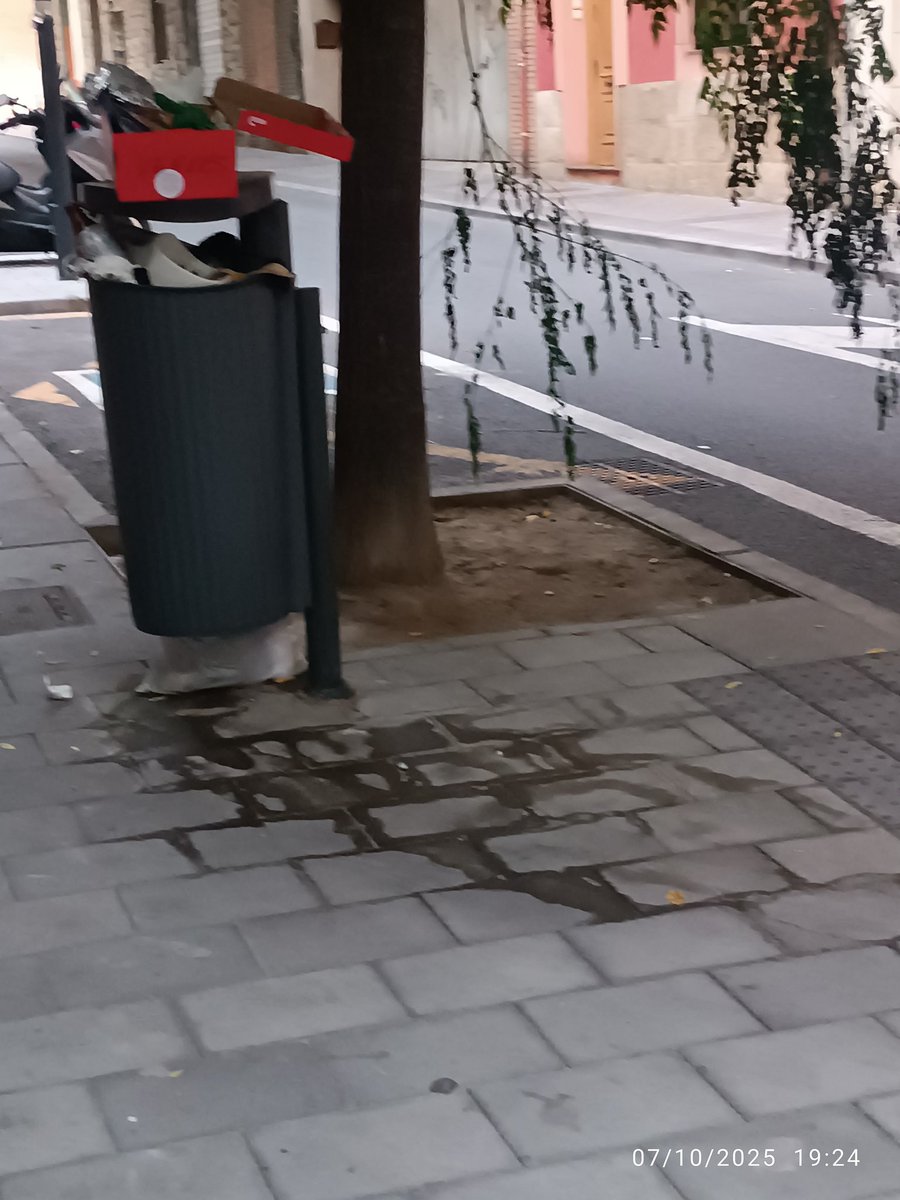Franxesca🐦 (@maripaqui69) on Twitter photo <a href="/Ra_Mas/">Rafa Mas🌻🤝🏼🌍</a> <a href="/compromis/">Compromís</a> <a href="/TramdeAlicante/">TRAM d'Alacant</a> <a href="/CompromisALC/">Compromís Alacant</a> <a href="/CALalicante/">Coordinadora Alicante Limpia - CAL</a> <a href="/ALCiniciativa/">Iniciativa per Alacant</a> <a href="/Tenecesit_A/">AlicanTEnecesita</a> <a href="/SalvemlasMelias/">Salvem las Melias</a> Rafa,
q no vamos a seguir separando para q se lo lleven calentito la contrata
QUE NO!
Q por los barrios aledaños al centro estamos vendidos
No vemos basureros en días
Esto estuvo por tres días antes de hacer la foto <a href="/Ra_Mas/">Rafa Mas🌻🤝🏼🌍</a> <a href="/compromis/">Compromís</a> <a href="/TramdeAlicante/">TRAM d'Alacant</a> <a href="/CompromisALC/">Compromís Alacant</a> <a href="/CALalicante/">Coordinadora Alicante Limpia - CAL</a> <a href="/ALCiniciativa/">Iniciativa per Alacant</a> <a href="/Tenecesit_A/">AlicanTEnecesita</a> <a href="/SalvemlasMelias/">Salvem las Melias</a> Rafa,
q no vamos a seguir separando para q se lo lleven calentito la contrata
QUE NO!
Q por los barrios aledaños al centro estamos vendidos
No vemos basureros en días
Esto estuvo por tres días antes de hacer la foto