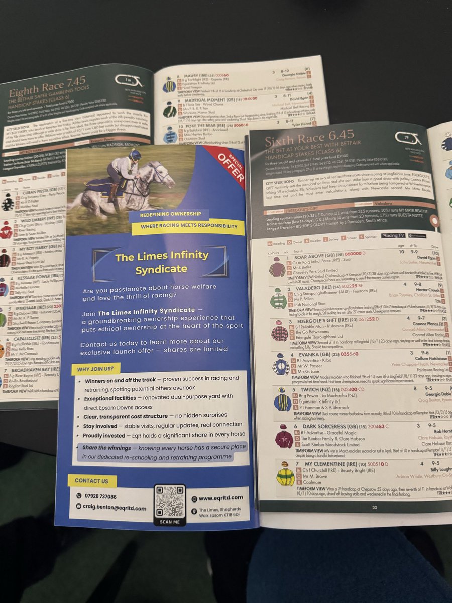 Equestrian R Infinity and The Limes Syndicates (@EqR_Infinity) / Posts / X