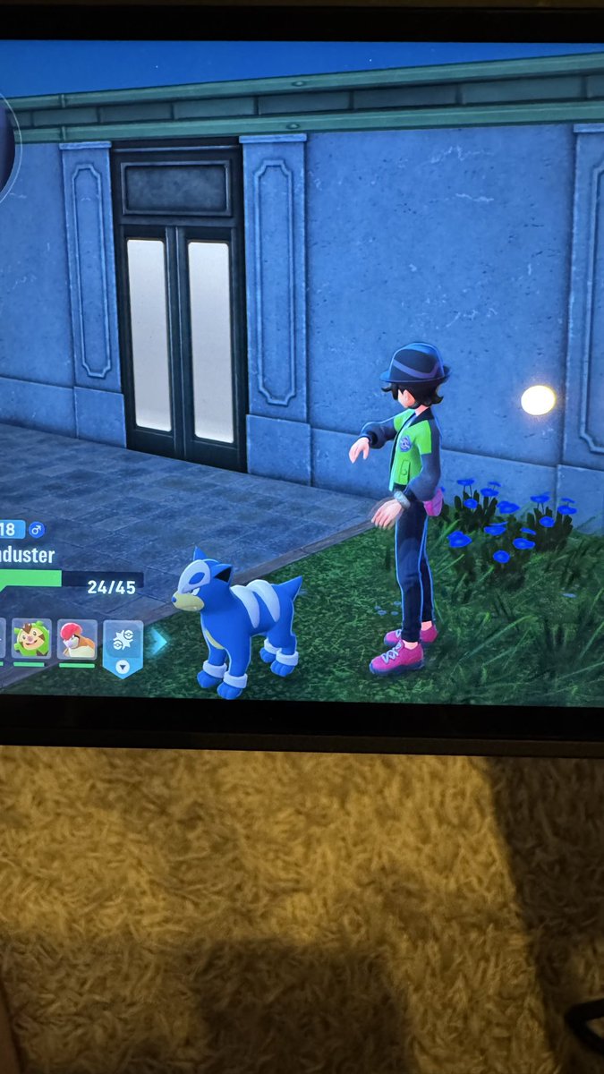 Erstes Shiny! ❤️