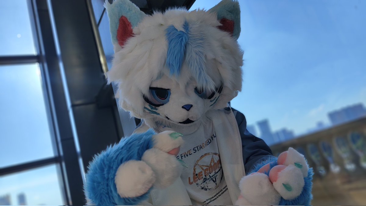#fursuitFriday 
🐶 <a href="/Frosty_lang/">Frosty朗</a>
🐯 帕里斯
📷 阿离