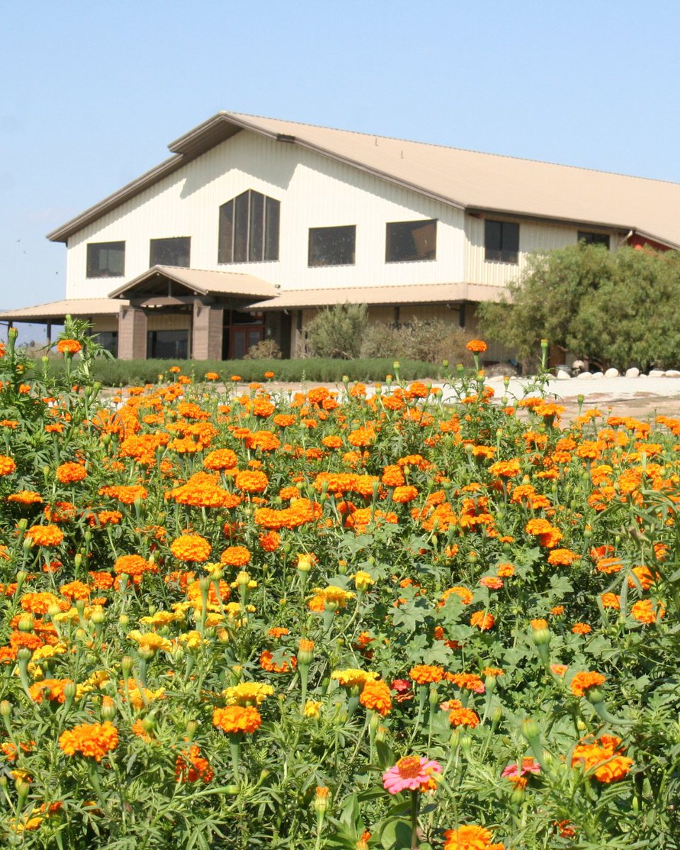 California Farm Bureau tweet media