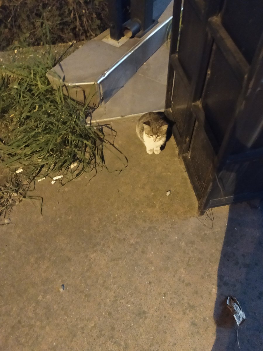 Hareketsiz durarak benden kaçamazsın ufaklık