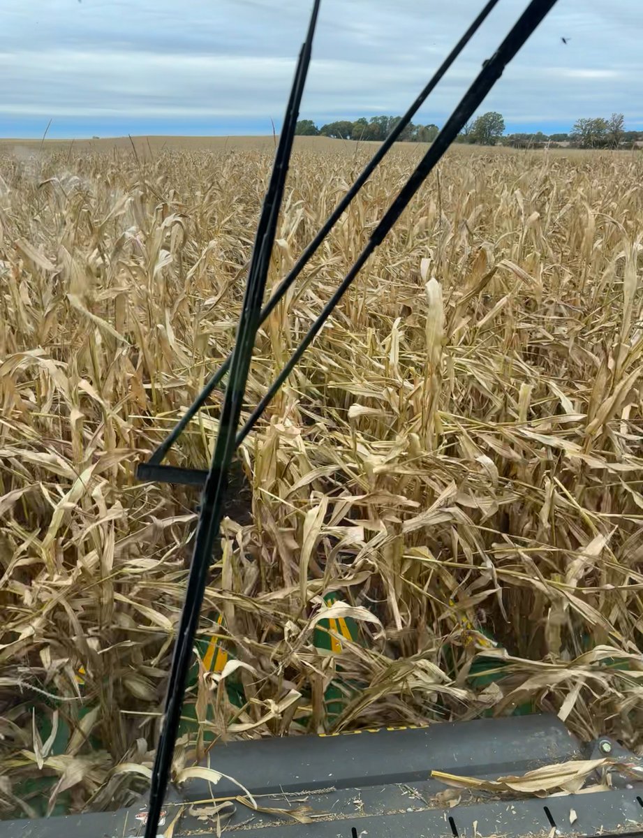 PERFORMANCE NUTRITION AG 🌾 tweet media