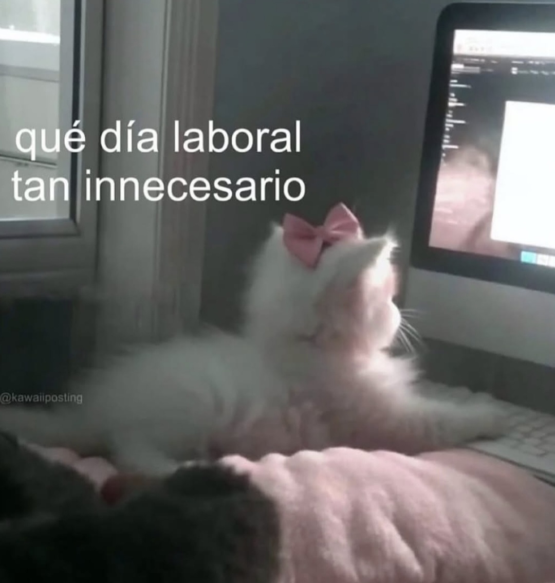 Animalesaprieto's tweet image. 