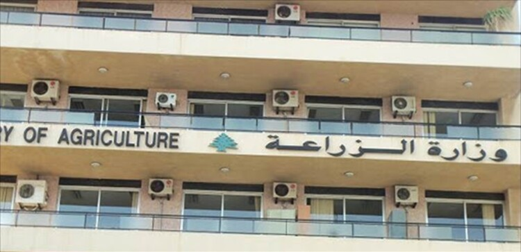 أطلقت #وزارة_الزراعة بالتعاون مع منظمة #الفاو مشروعًا يمتد على ثلاث سنوات بعنوان تعزيز مرونة قطاعي المياه والغذاء في #لبنان بتمويل من الحكومة السويسرية، بهدف دعم الاستدامة البيئية وتعزيز الأمن الغذائي والمائي ويأتي المشروع بمشاركة واسعة من المؤسسات الحكومية