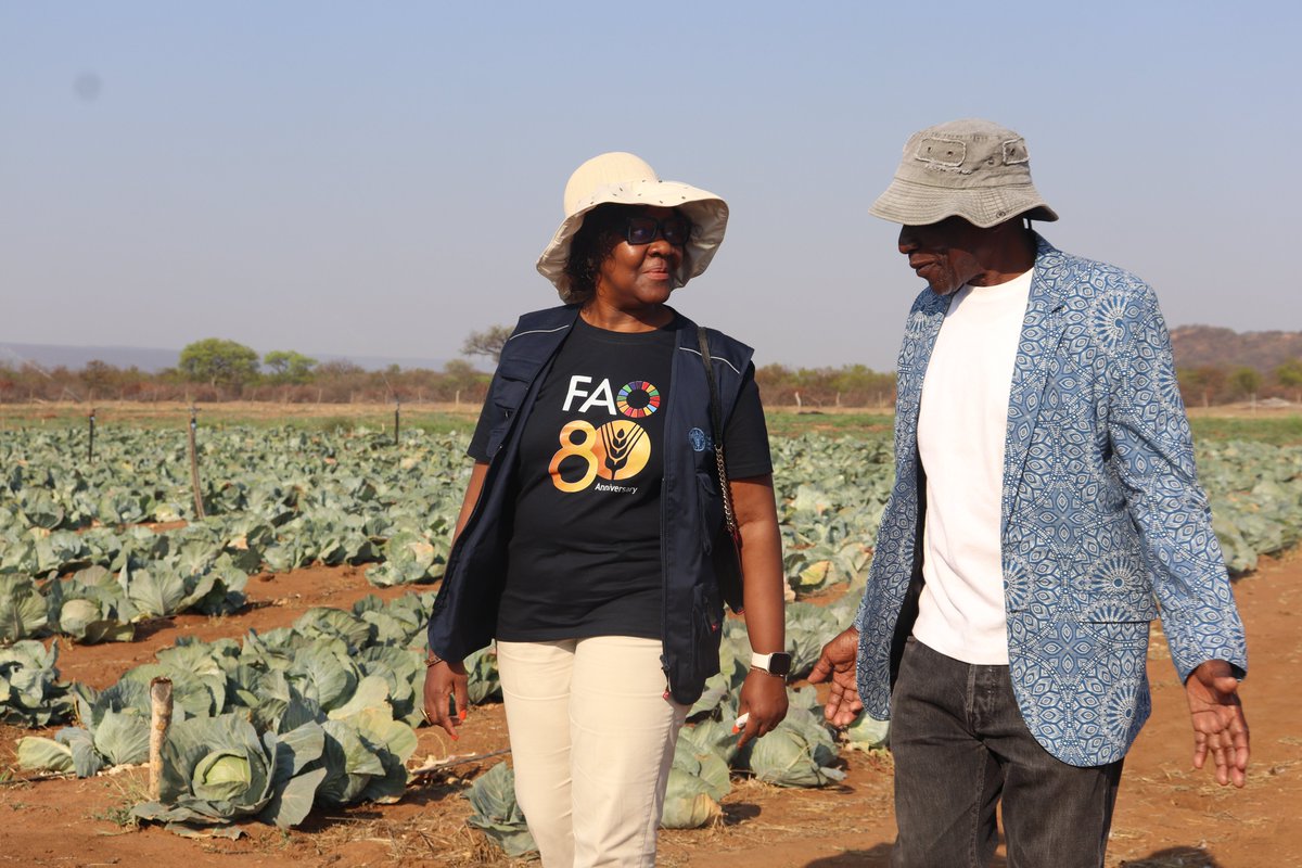 FAO Botswana tweet media