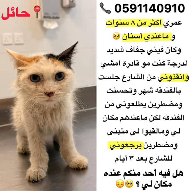 faiza abdulla (@foofofaiza) on Twitter photo 