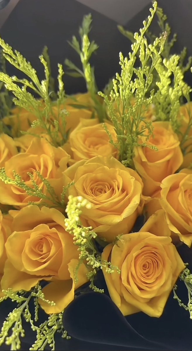 بعضهم يبحث عن المكان الجميل 
وبعضهم أينما حل يصبح المكان جميلآ ..

اللهم بشرى كاالغيث 
ويومكم سعيد 🌸🌸