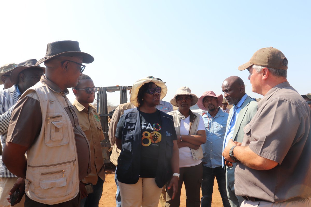 FAO Botswana tweet media