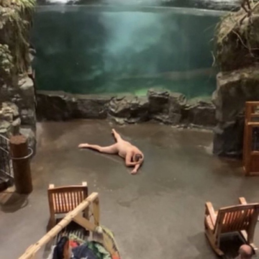 nobody:

leverage traders: