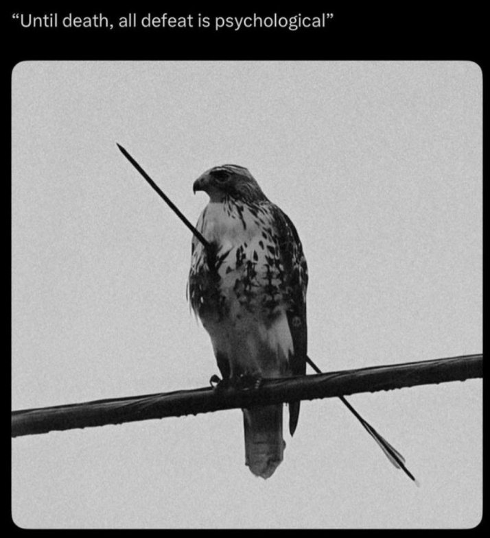 You only lose when your mind accepts it