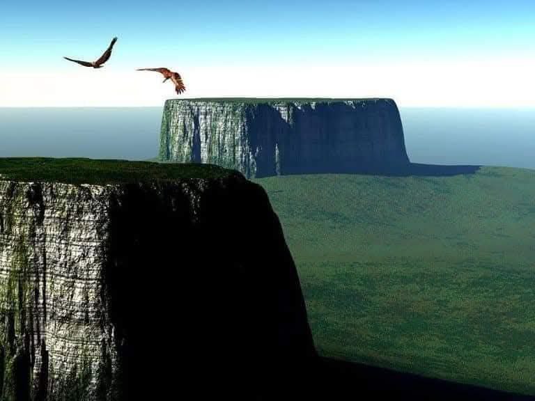 ¿Quién cortó todos los árboles GIGANTES en el pasado? ¿Y por qué?.🎯