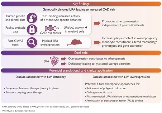 ehj_ed's tweet image. From locus to lipase: LIPA as a paradigm for post-GWAS mechanistic and translational research in CAD. Read more in the @EHJ at doi.org/10.1093/eurhea… #CAD #GeneticResearch #LIPA #PostGWAS #TranslationalMedicine @ESCardio @ESC_Journals
