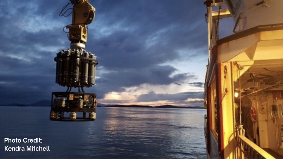 Marine heatwaves are becoming more frequent with global warming, but could they in turn exacerbate climate change? In a new study, Steven Hallam's team reports that spurts of intense ocean warming can impact microbial community structure and carbon cycling mbim.ubc.ca/news/marine-he…