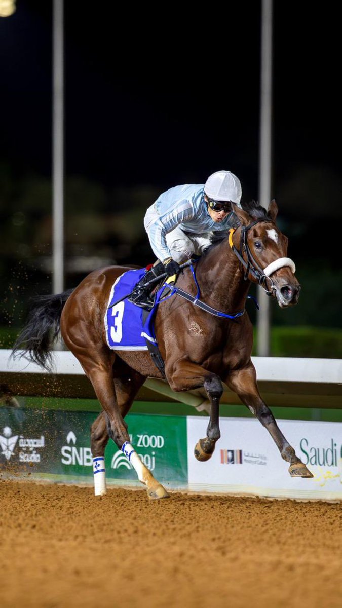 Congratulations to Allajayn on her remarkable win! A stunning performance on the track,marking a victorious start to the Riyadh racing season.Wishing her continued success and excellence and congratulations to the trainer <a href="/am_almonif/">Abdullah AlMonif | عبدالله المنيف</a> and Jokey <a href="/pollomoreno11/"> A l E X I S | M O R E N O  🇵🇦 </a> on the impressive win