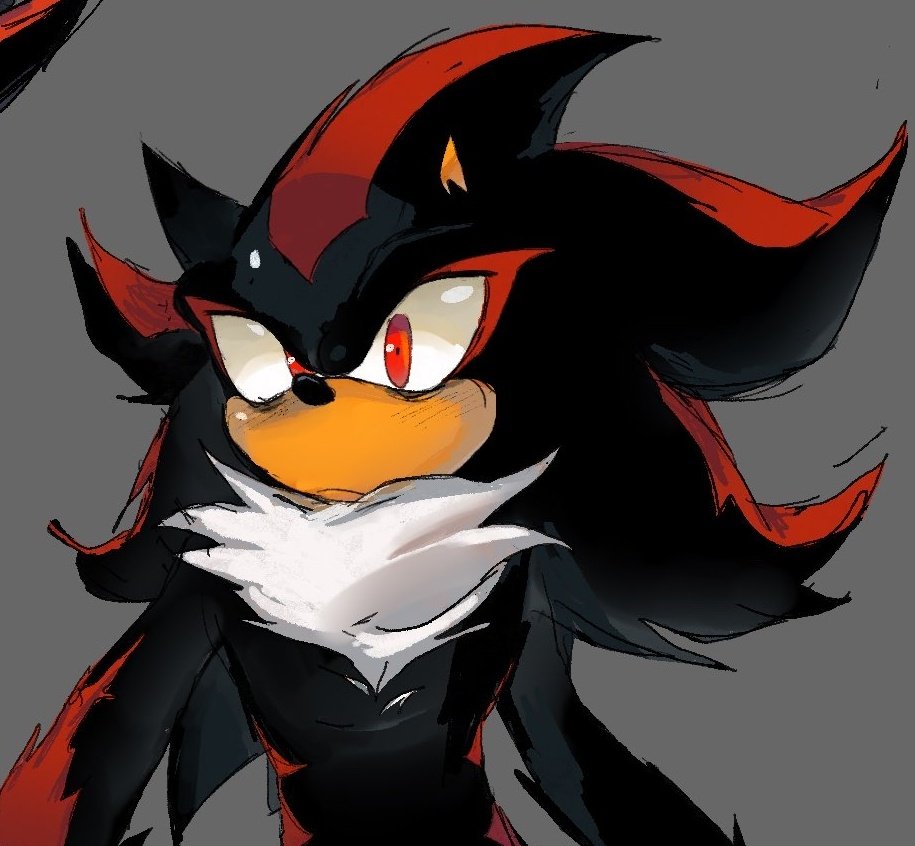 Does it feel like a burden?
#ShadowTheHedgehog