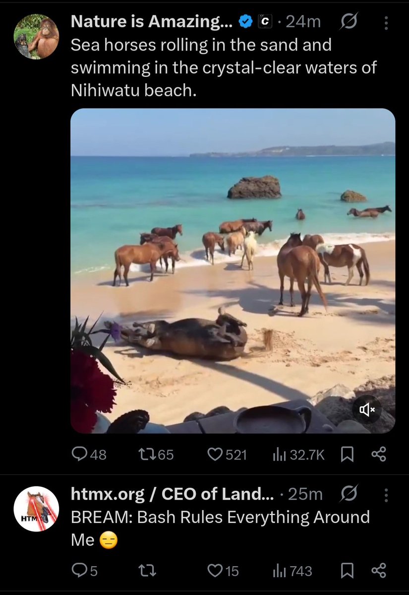 Tweet media one