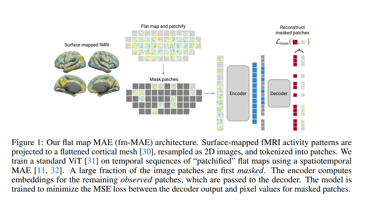 Tanishq Mathew Abraham, Ph.D. (@iscienceluvr) on Twitter photo We've released our first <a href="/SophontAI/">Sophont</a> paper! ๐ฅ
We're bullish on the potential foundation models to help unlock novel clinical applications for brain & mental health. 
So we working on training better neuroimaging foundation models. 
We develop a novel approach for training fMRI We've released our first <a href="/SophontAI/">Sophont</a> paper! ๐ฅ
We're bullish on the potential foundation models to help unlock novel clinical applications for brain & mental health. 
So we working on training better neuroimaging foundation models. 
We develop a novel approach for training fMRI