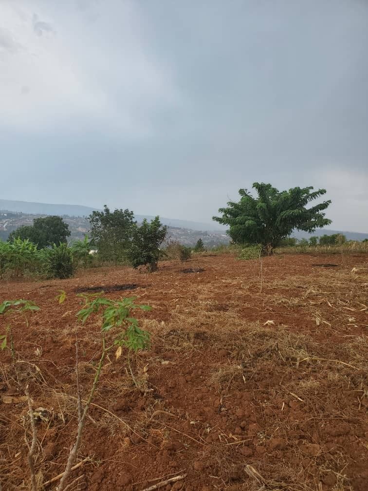 HouseInRwanda's tweet image. 🏠Kigali plot for sale in Masaka🆕
💸Price: 50,000,000 Rwf
🌄Property type: Land
📐Plot size: 700.00 m²
For further details:👇houseinrwanda.com/property/sale/…
Contact name:👨💼NTIRENGANYA Daniel
#plot #sale #kigali