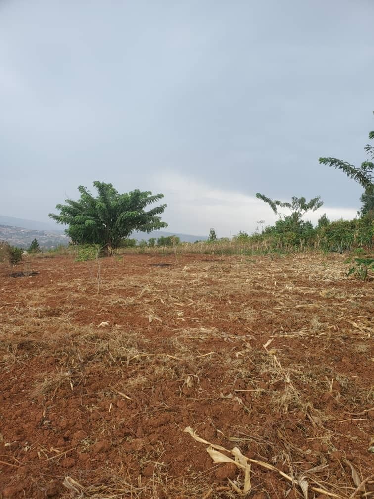 HouseInRwanda's tweet image. 🏠Kigali plot for sale in Masaka🆕
💸Price: 50,000,000 Rwf
🌄Property type: Land
📐Plot size: 700.00 m²
For further details:👇houseinrwanda.com/property/sale/…
Contact name:👨💼NTIRENGANYA Daniel
#plot #sale #kigali