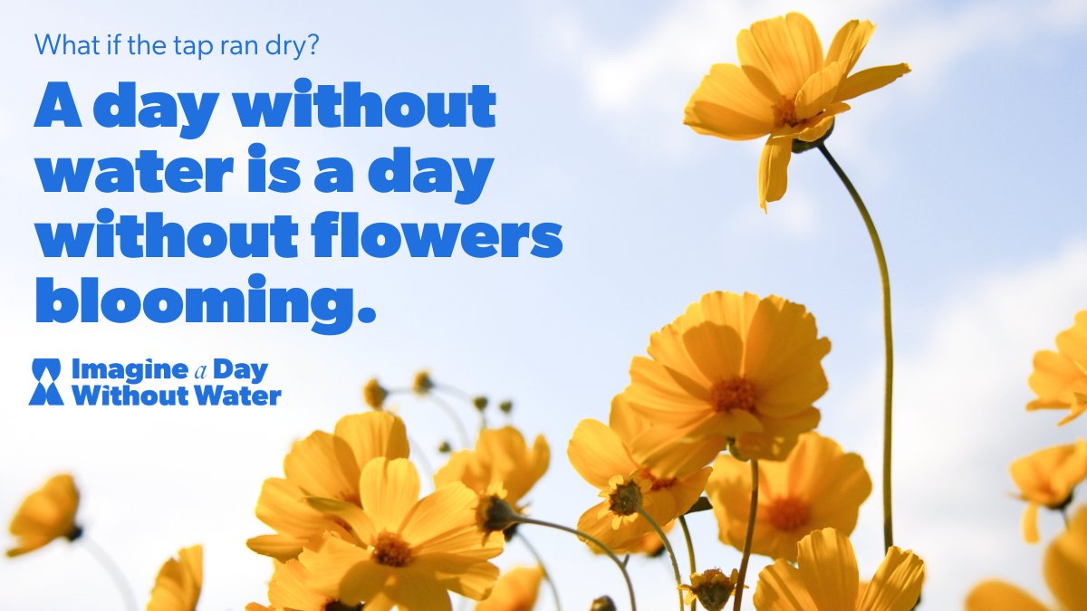 CASA_CleanWater tweet media