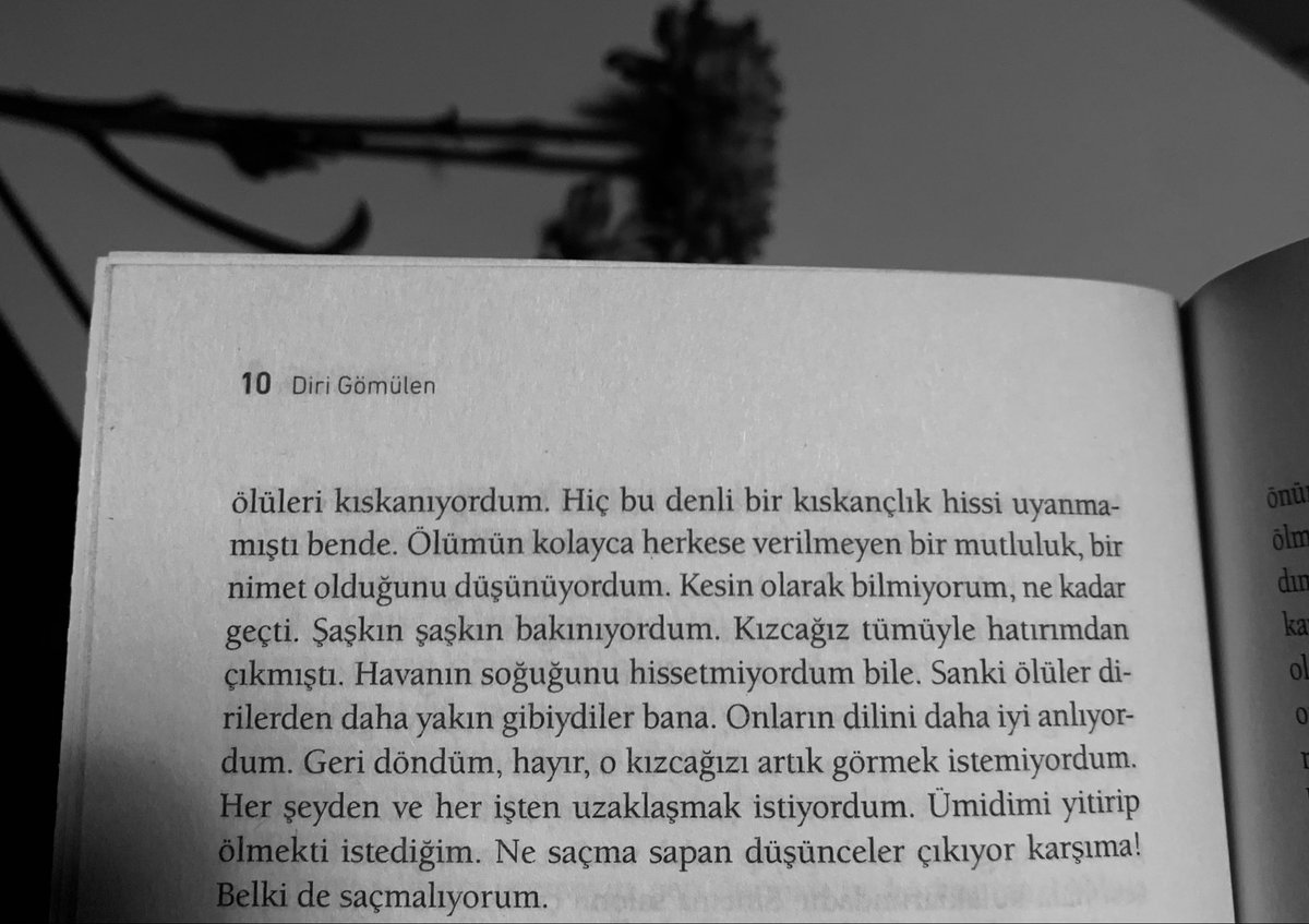 Süveyda (@besihud) on Twitter photo 