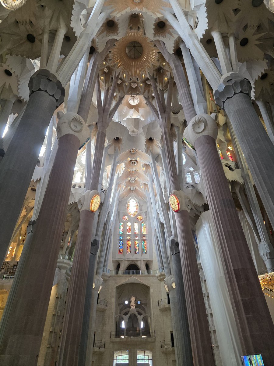 Fernand Bteich, MD, MS tweet media