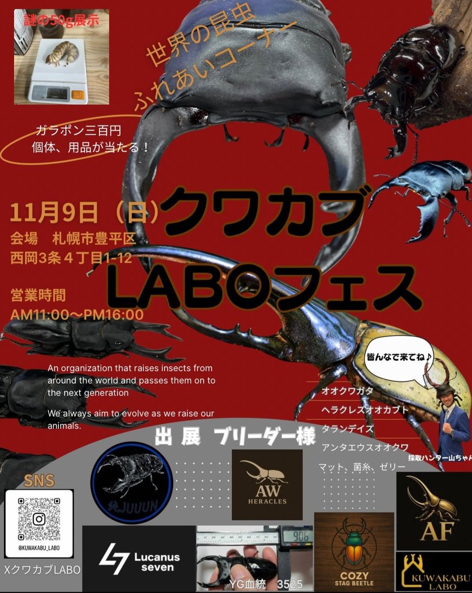 3525 (@QcpF7YLQPRjwD49) / Posts / X