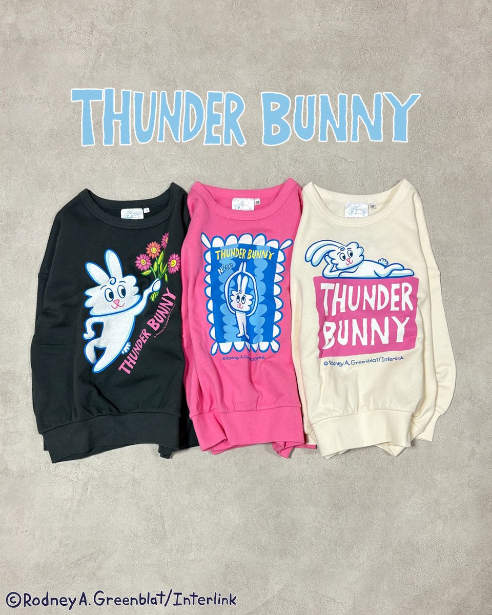 Thunder Bunny Sky (@ThunderBunnySky) / Posts / X