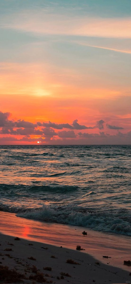 Archillct (@archillct) on Twitter photo 