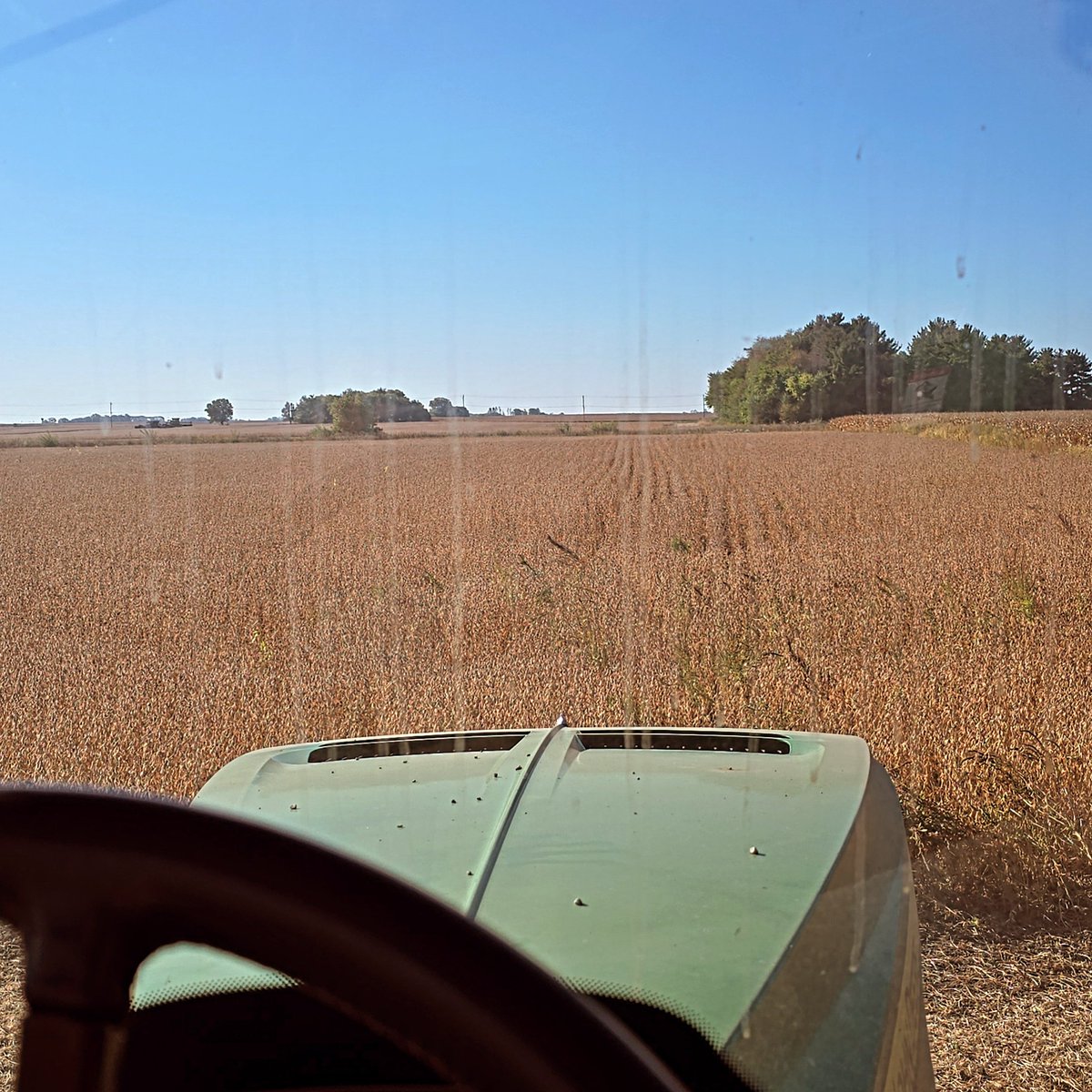 nick strba (@nickstrbs) on Twitter photo 