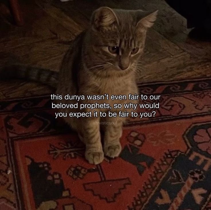 U m e . . (@iummer_21) on Twitter photo 