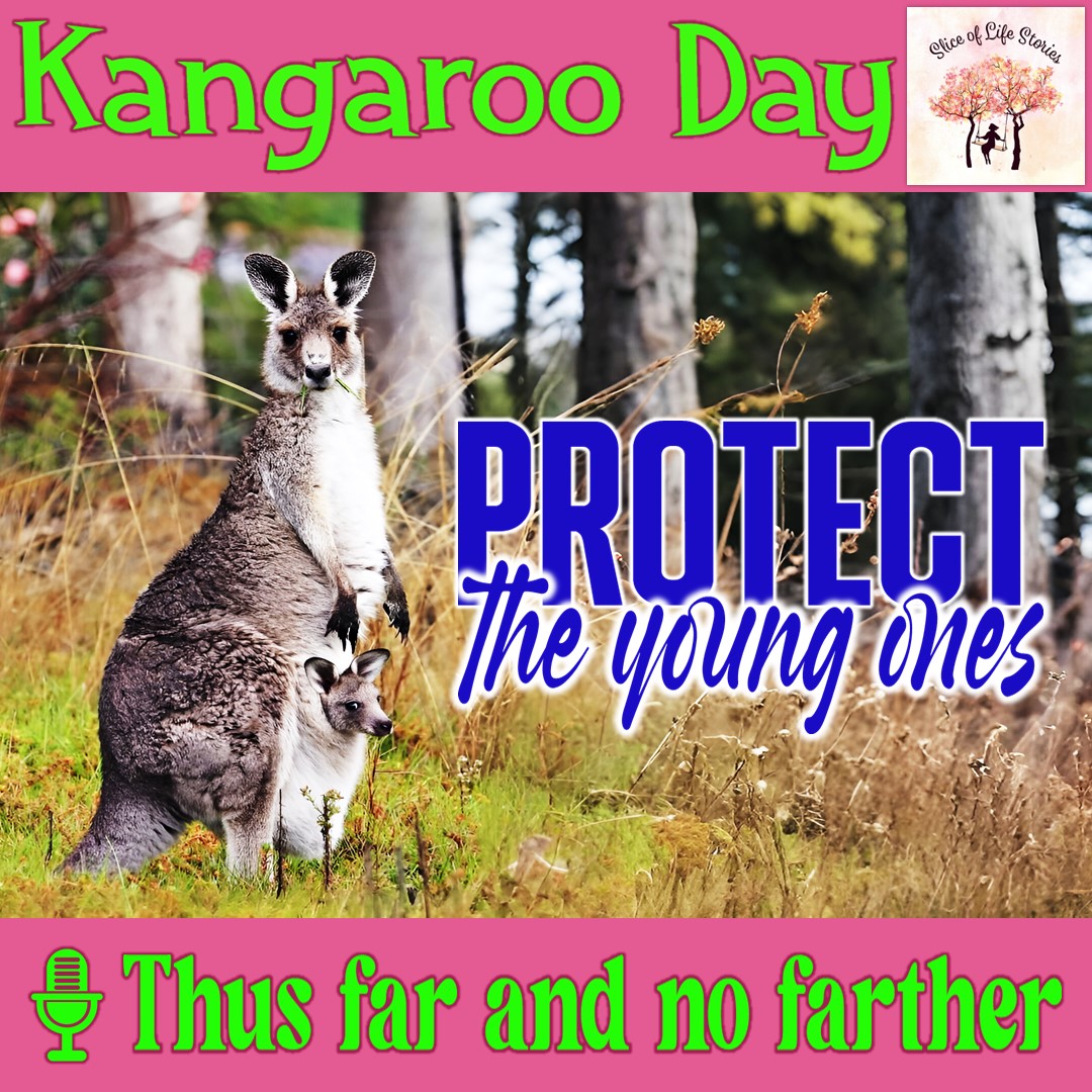 sliceoflife466's tweet photo. Kangaroo Day with 🎙 Thus Far And No Farther

▶ https://t.co/f1kplRsN5A

#thusfarandnofarther #courage #standingup #solidarity #breakingtrust #unsuspected #defenceless #innocence #podcast #worldkangarooday #kangaroo #endanimalcruelty #savewildlife #animalplanet #savethekangaroos https://t.co/4sElkeTNaz