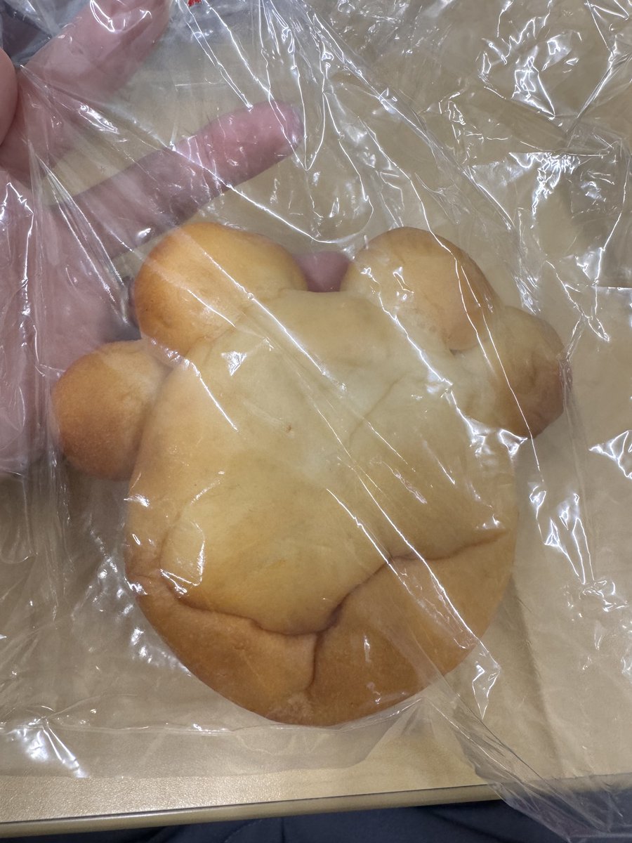 kngg_222's tweet photo. ふらっとパン屋さんに寄ったら、ラブリー！ある！って思って即買い。
（肉球型の肉まんみたいなやつ） https://t.co/NVv6sscER3
