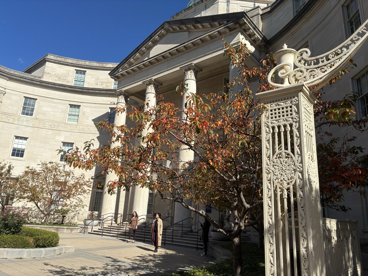 There’s nothing like Cedar Street in the fall. <a href="/YaleMed/">Yale School of Medicine</a>