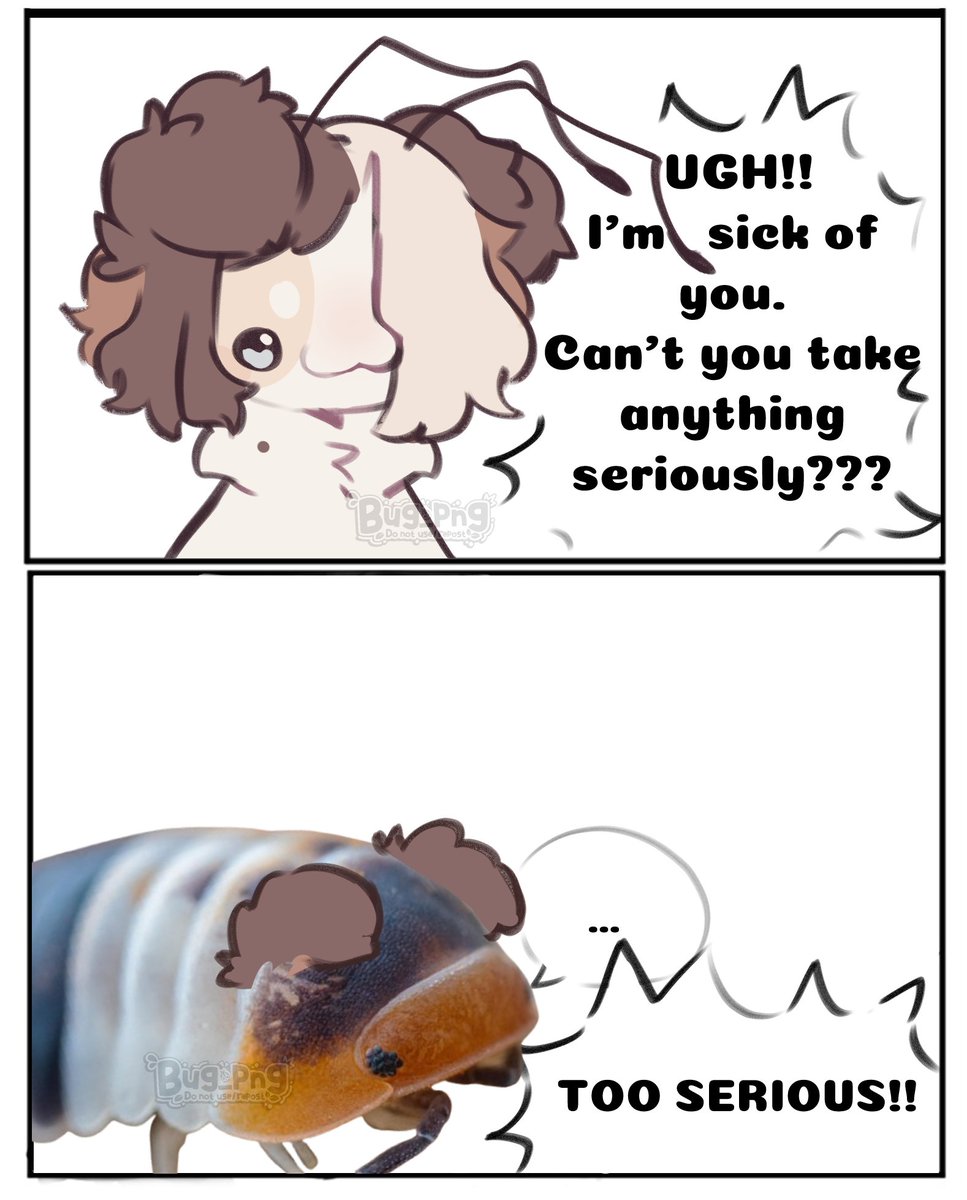 🧡Bug🤍 (@isopuppi) on Twitter photo 