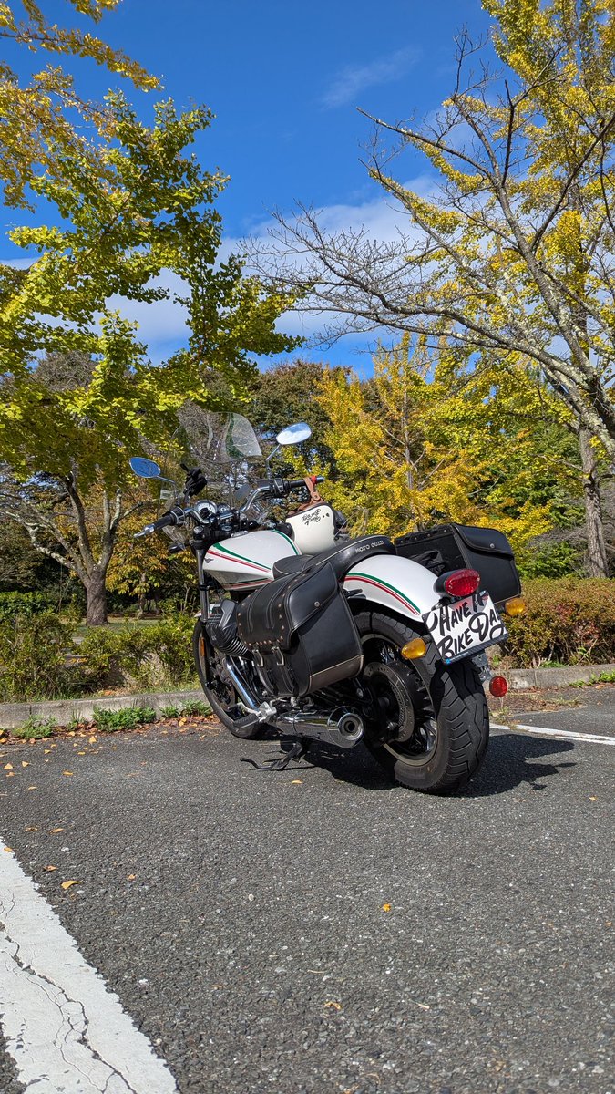 もるぞう □ ジミー 大西 □ 【 フラメンコ 】 □ 油彩肉筆画