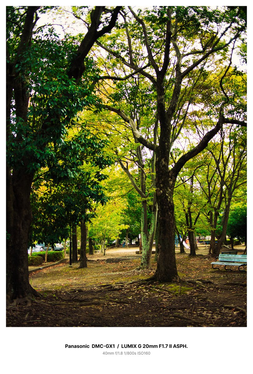 マンジュリカおまとめページ むちょりか on X