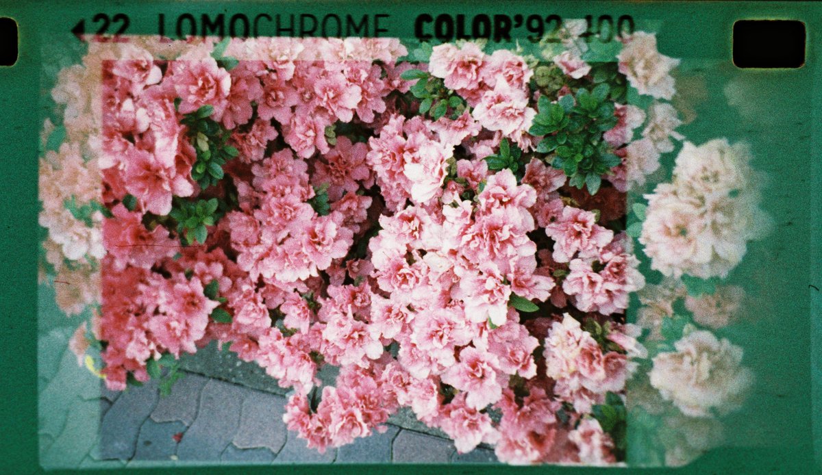 Photo_Takumi.camera on X