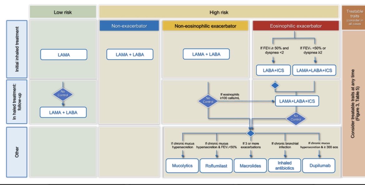 📊 Nuevo algoritmo GesEPOC 2025
Actualiza el tratamiento inhalado según riesgo y fenotipo 🔄

🟢 Bajo riesgo → LAMA
🟠 Alto riesgo no eosinofílico → LAMA+LABA
🔴 Alto riesgo eosinofílico → LABA+ICS o triple terapia

#EPOC #GesEPOC2025 #Neumología #TratamientoEPOC