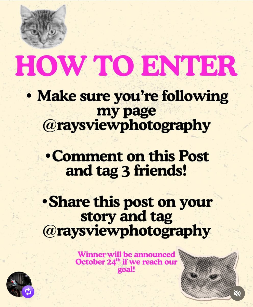 mitchelienamba's tweet photo. If you are in the DFW area and have an Instagram account, follow @raysviewphotography for a chance to win a free photo or video shoot, but hurry! 
Only on Instagram though! https://t.co/liuOY15P1y