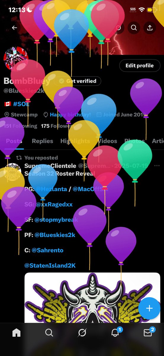 bombtheblueskies tweet media