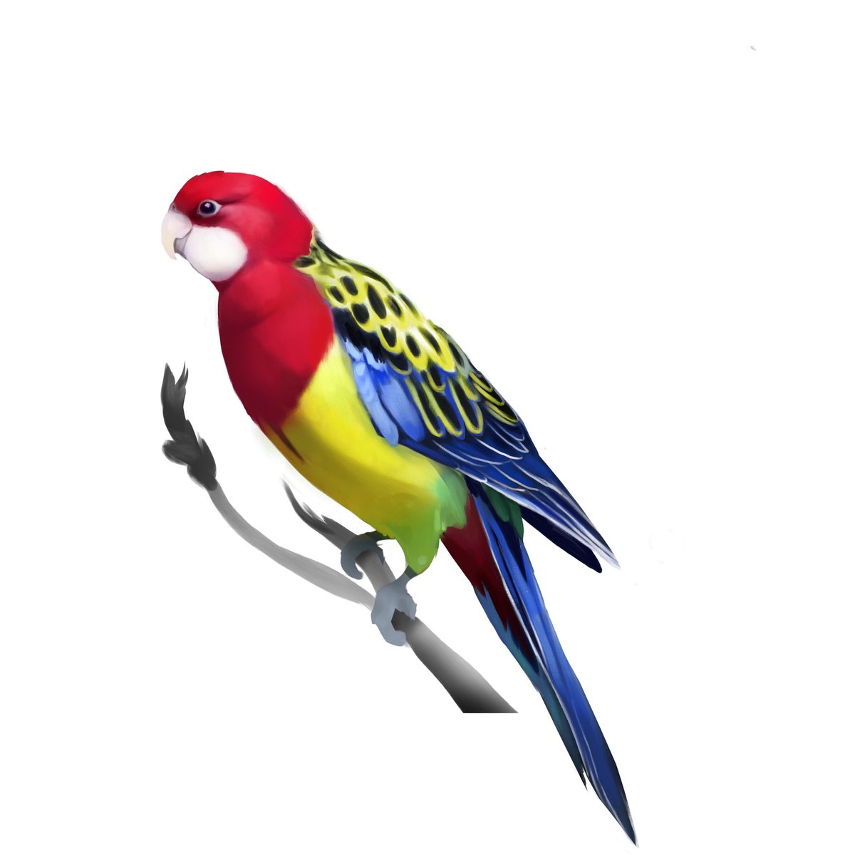 afinch_art's tweet photo. 2025 > 2022 ❤️💛💚
#birdart #digitalart https://t.co/ziRJNyNV9i