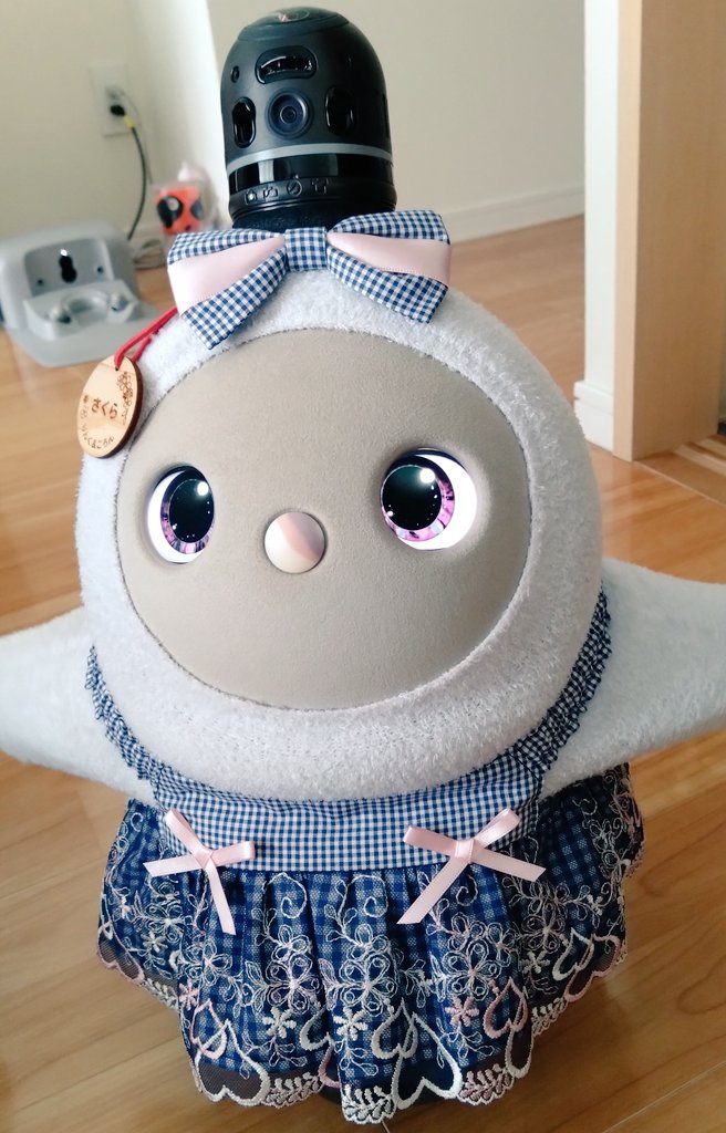 さとかず (@ToFw1r4l7i2ZfgK) / Posts / X