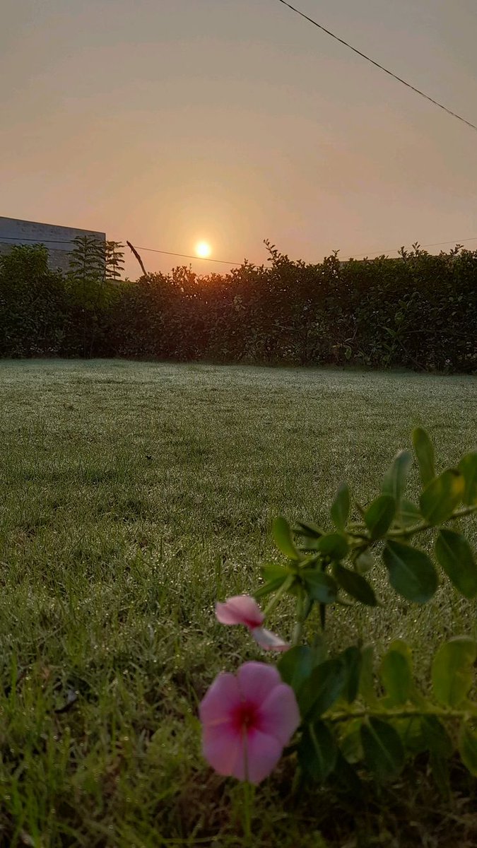 Good Morning.....  😀 

Each morning is a blank page Write something worth reading Let go of yesterday pain Embrace today’s possibilities And walk with quiet confidence...!!!