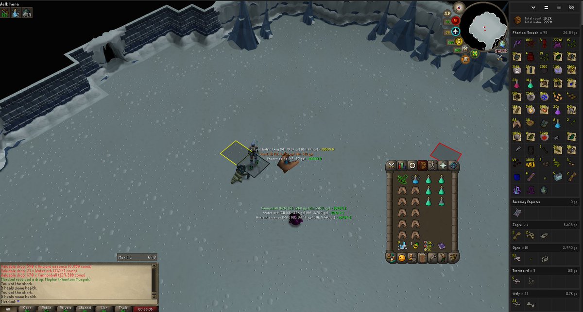 Mer_Dual's tweet photo. 98 kc Muphin Pet #osrs https://t.co/DMjl8kvhX6
