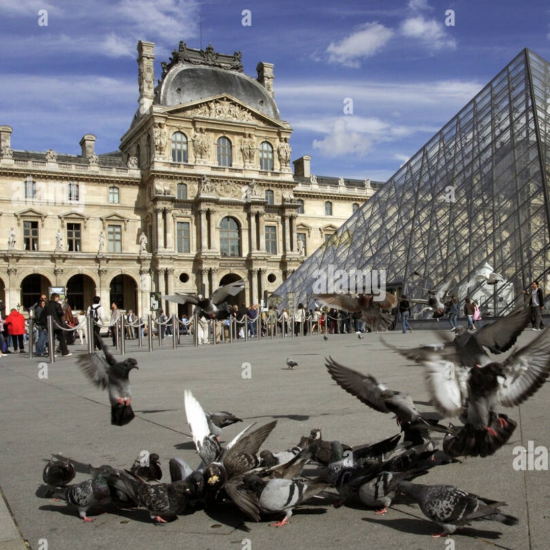 Les voleurs du Louvre courent toujours mais nous sommes ravis d'apprendre qu'aucune faille n'est à déplorer au niveau de la sécurité.
En France on a l'oeil et le bon; on traque avec discernement tout ce qui pourrait s'avérer suspect.
C'est ainsi que nous apprenons que, pendant