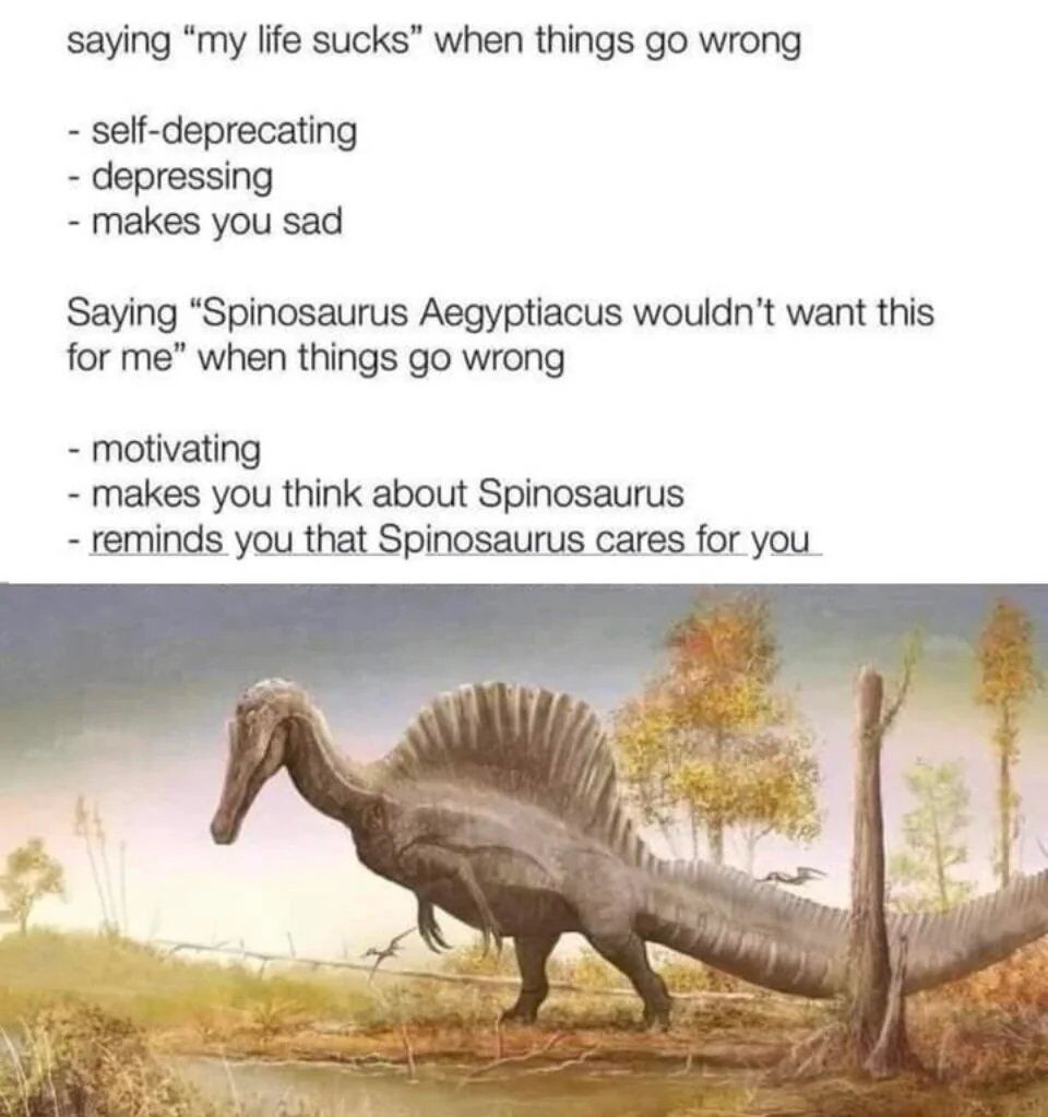 WholesomeMeme's tweet image. 